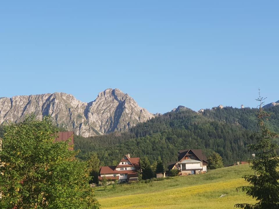 Willa Limba Kościelisko Exterior foto