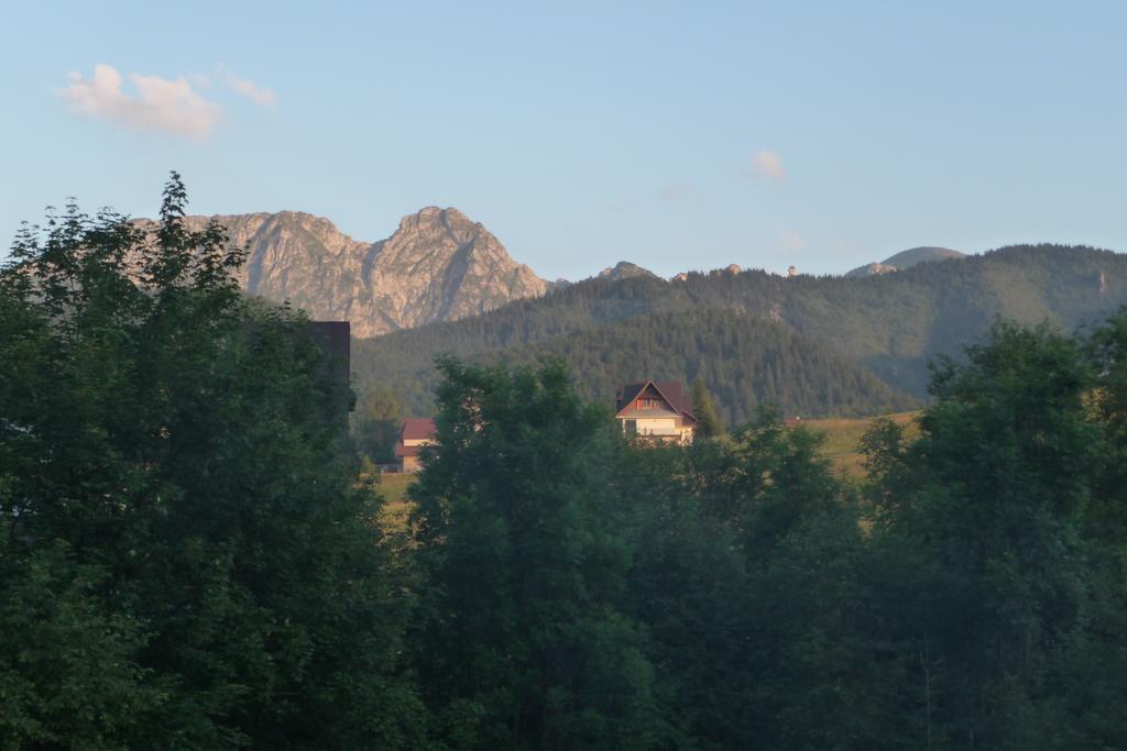 Willa Limba Kościelisko Exterior foto