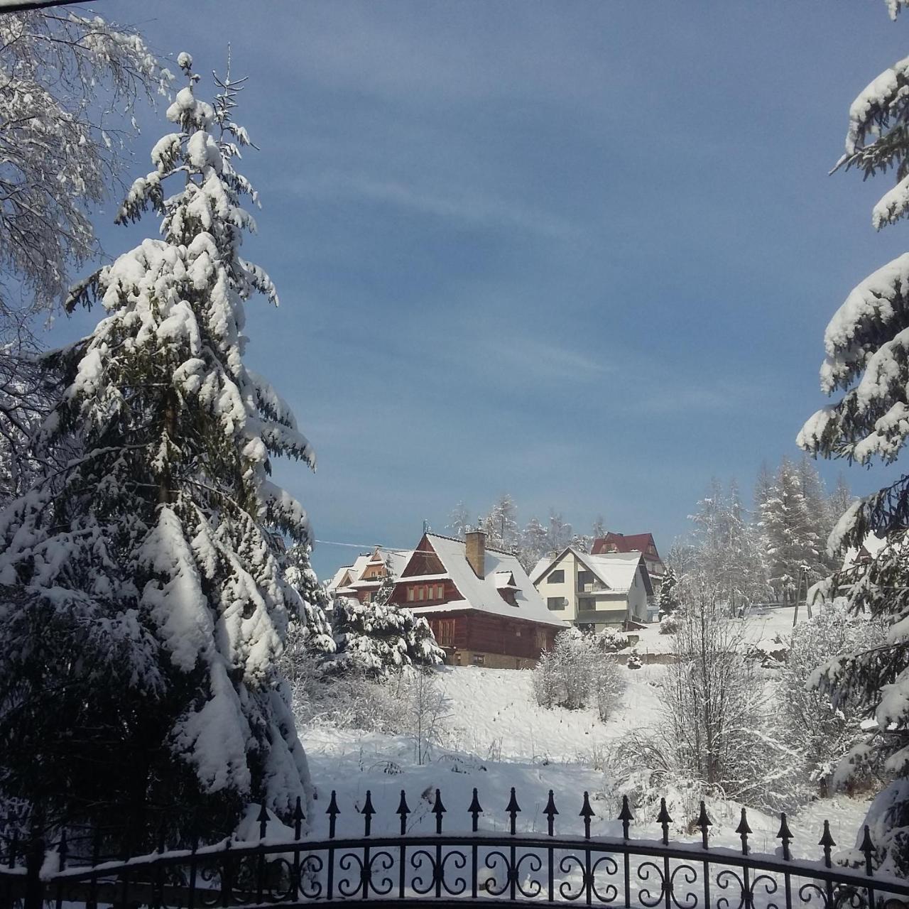 Willa Limba Kościelisko Exterior foto
